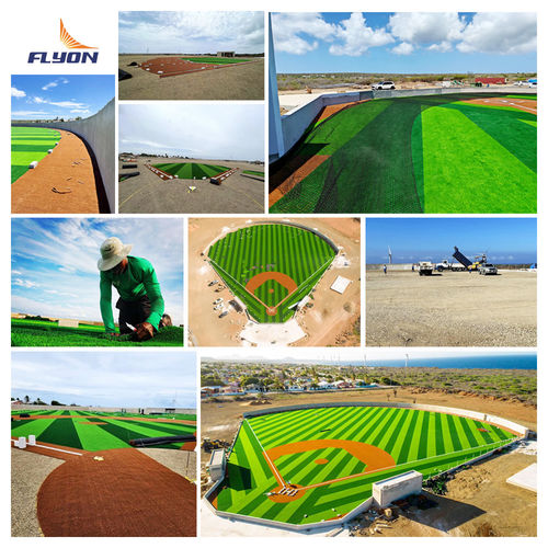 Latest company Solutions about 2023 Curacao Baseball Field Artificial Grass Project