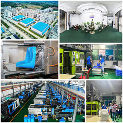 China Shenzhen Flyon Sports  Co., Ltd. Company Profile