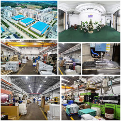 China Shenzhen Flyon Sports  Co., Ltd. Company Profile