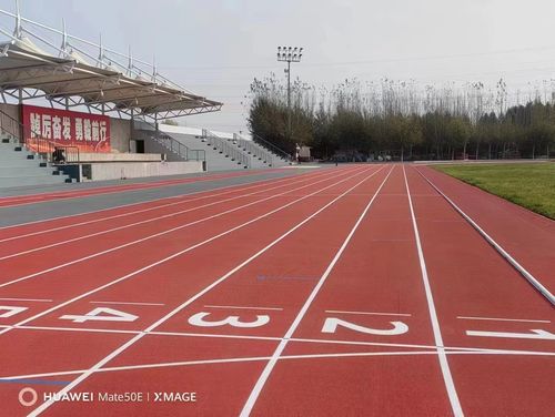 Latest company news about The difference between rubber track and plastic track