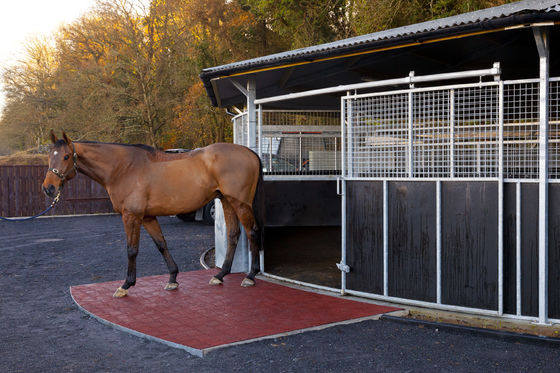 Good price Customized Anti Slip Rubber Flooring Mat Free Samples For Surface Protection online
