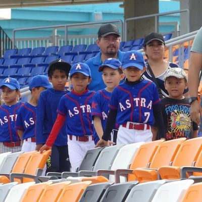 Good price Plastic Foldable Tip Up Stadium Sports Seats Anti Aging Anti UV online