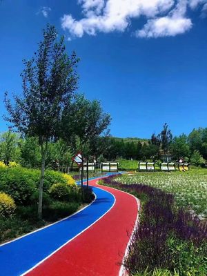 Good price Rectangular Athletic Running Track With Fade Resistance For Outdoor Fitnes online