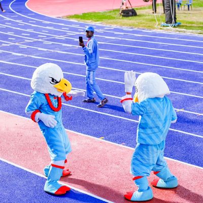 Good price Non Toxic Sandwich Running Track , Athletic Race Track With IAAF Certification online
