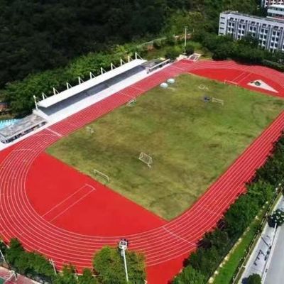 Prefabricated System Athletic Running Tracks EPDM Material IAAF Approved