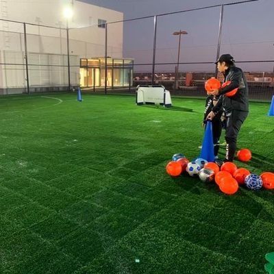 Good price Anti UV Anti Aging Artificial Grass 45mm , Sports Synthetic Grass 50cm × 50cm online
