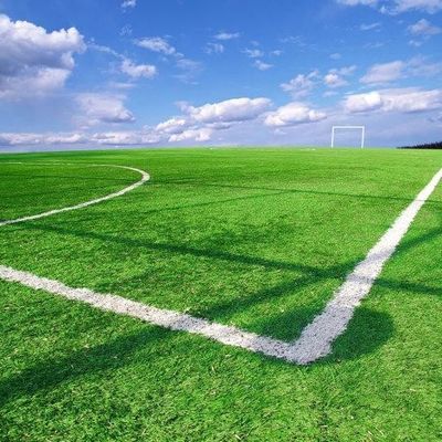 Good price Football Field Synthetic Artificial Grass Anti UV For Landscaping Decoration OEM ODM online