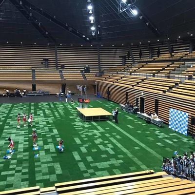 Good price 45mm Height Synthetic Artificial Grass For Soccer Football Sport Court SGS Certificate online