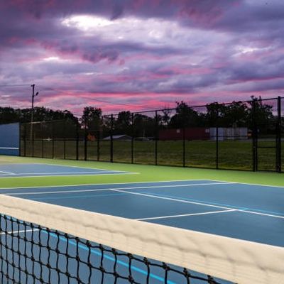 Good price Ondoor Pickleball Court Mat Portable 60 X 30ft Roll Mat Free Line Painting Service online