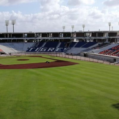 HDPE Material Stadium Sports Seats 5 Years - W 430 Mm * D 600 Mm * H 835 Mm