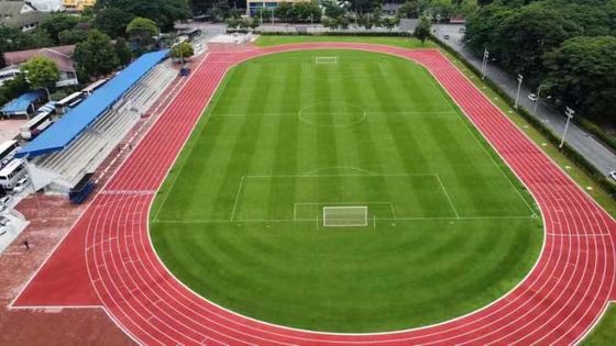 Good price Low Maintenance Rubber Athletic Running Tracks For Fitness Centers online