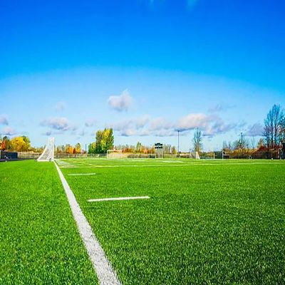Good price 40-60mm Green Artificial Grass 22000 Density PP NET Backing online