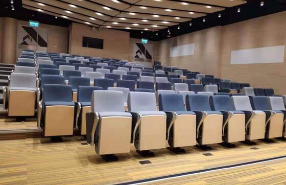 Good price Stain-Resistant Space-Saving Theater Seating with Easy Maintenance for Auditoriums and Theaters online