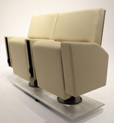 Good price FY962 Heavy Duty Iron Frame Theater Chair With Dual Spring Tip Up Seat And Foldable Cup Holder online