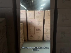 OEM/ODM Comfortable Theater Seating Solutions for Indoor Events